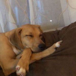 Meet your Posher, Jamie